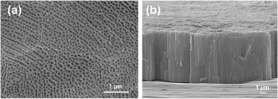 An Anodized Titanium/Sol-Gel Composite Coating with Self-Healable Superhydrophobic and Oleophobic Property